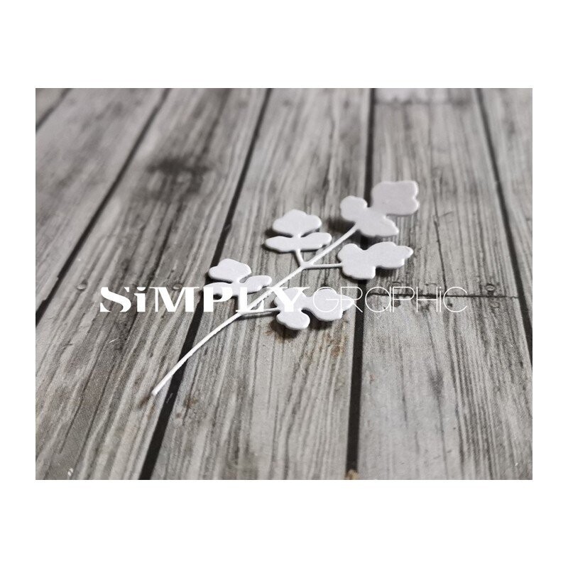 Simply Graphic - Coriandre