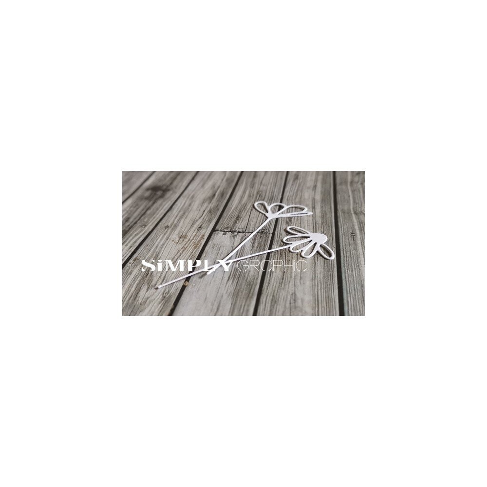 Simply Graphic - Marguerites