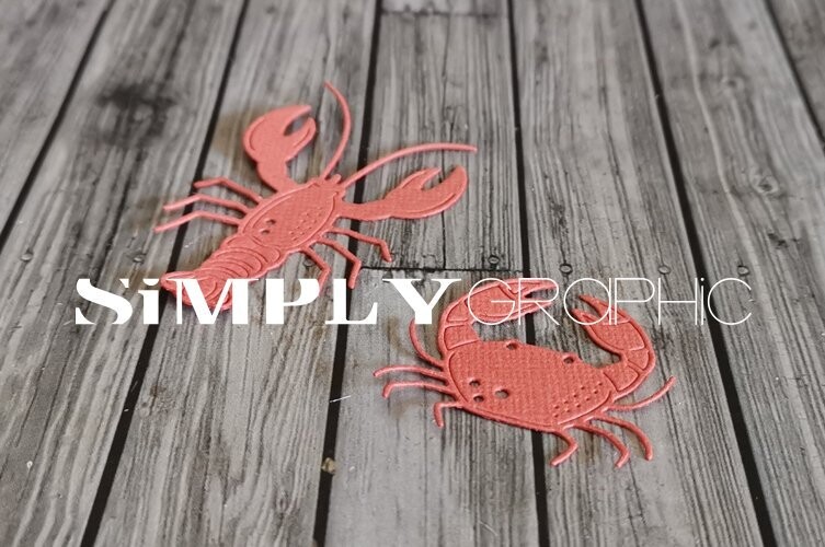 Simply Graphic - Duo de carapaces
