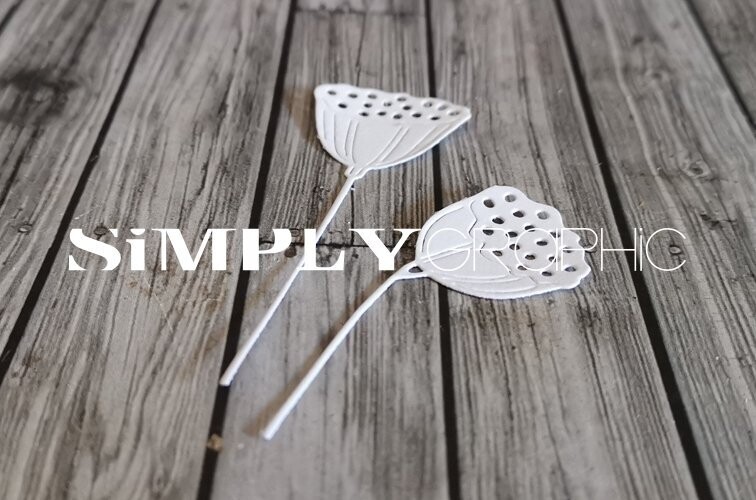 Simply Graphic - Fleurs alveolees