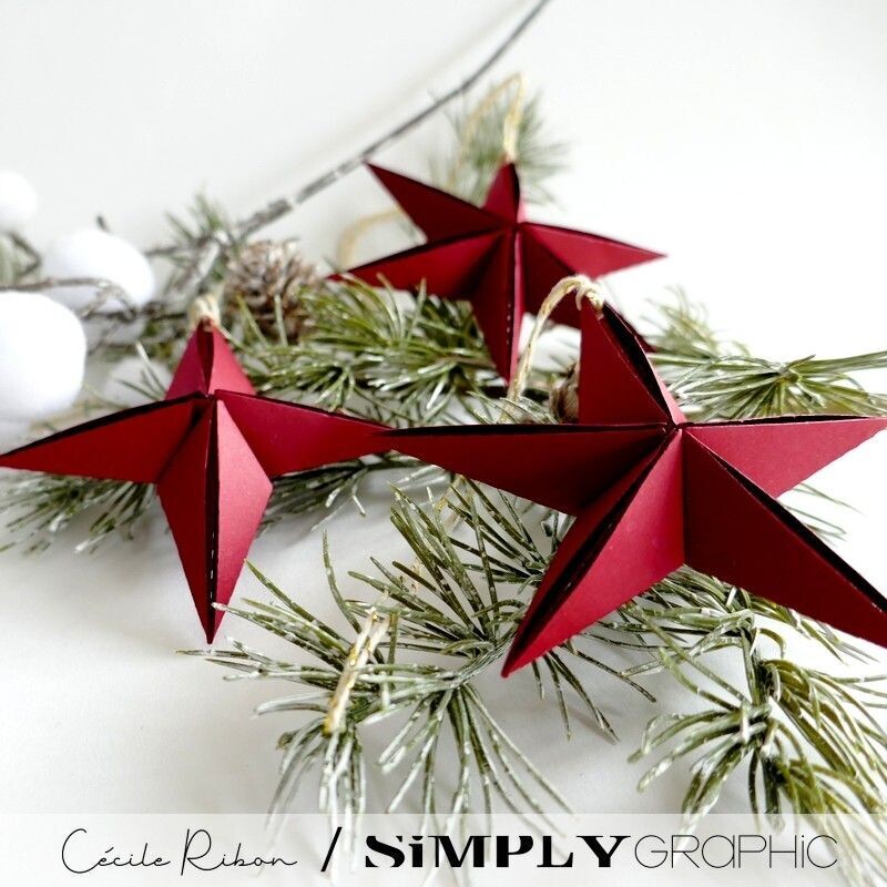 Simply Graphic - Troquel  Branches d'étoiles