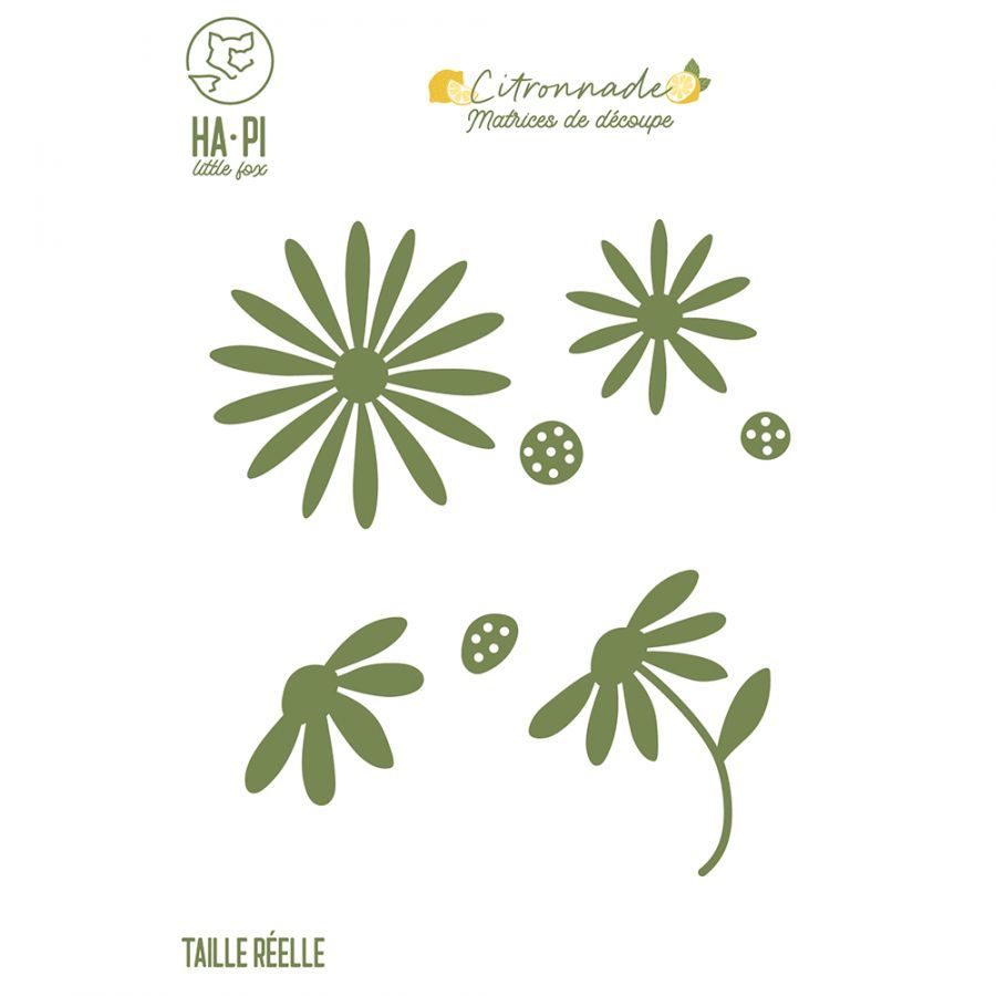Citronade - Troquel Marguerittes