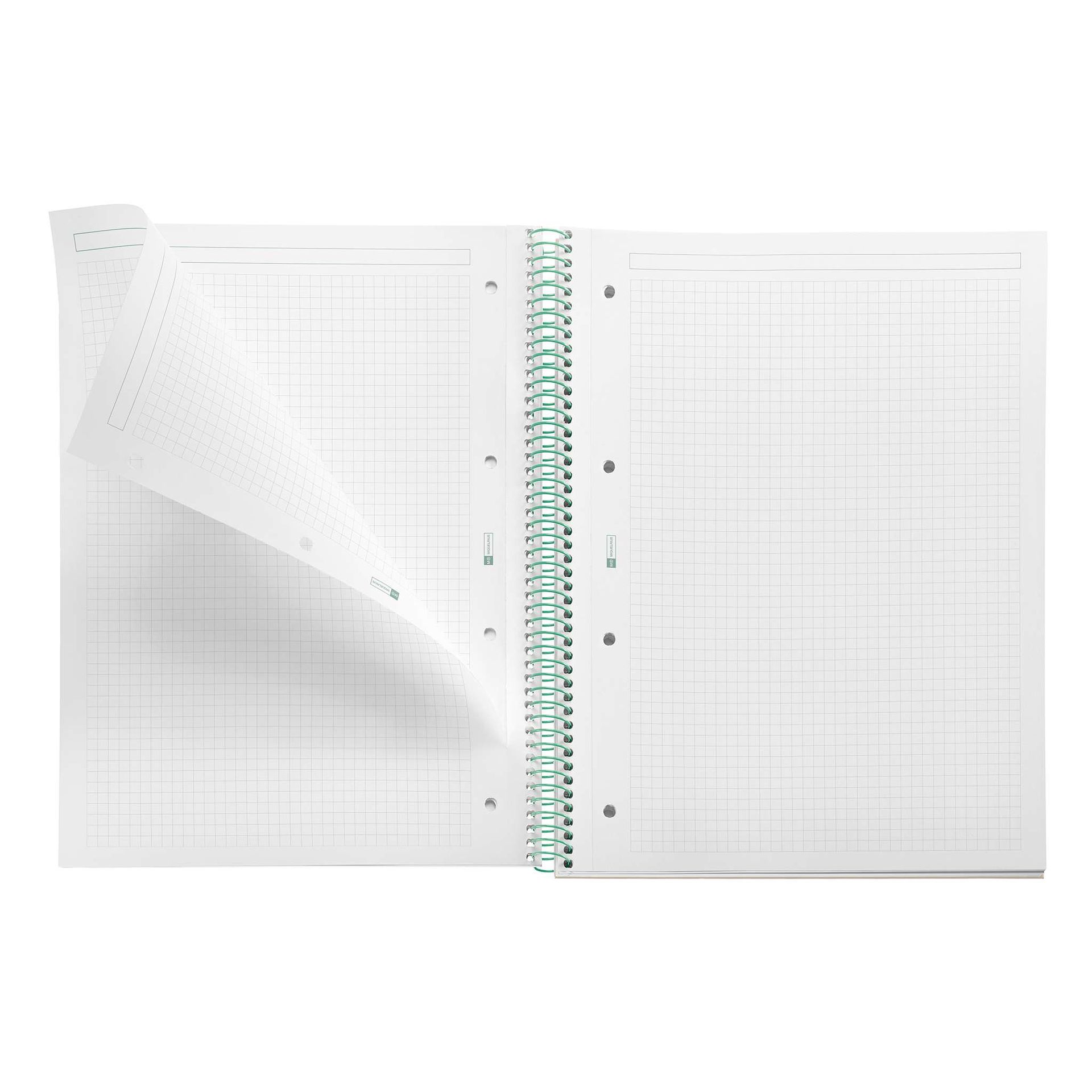 Cuaderno A4 Between the lines musgo