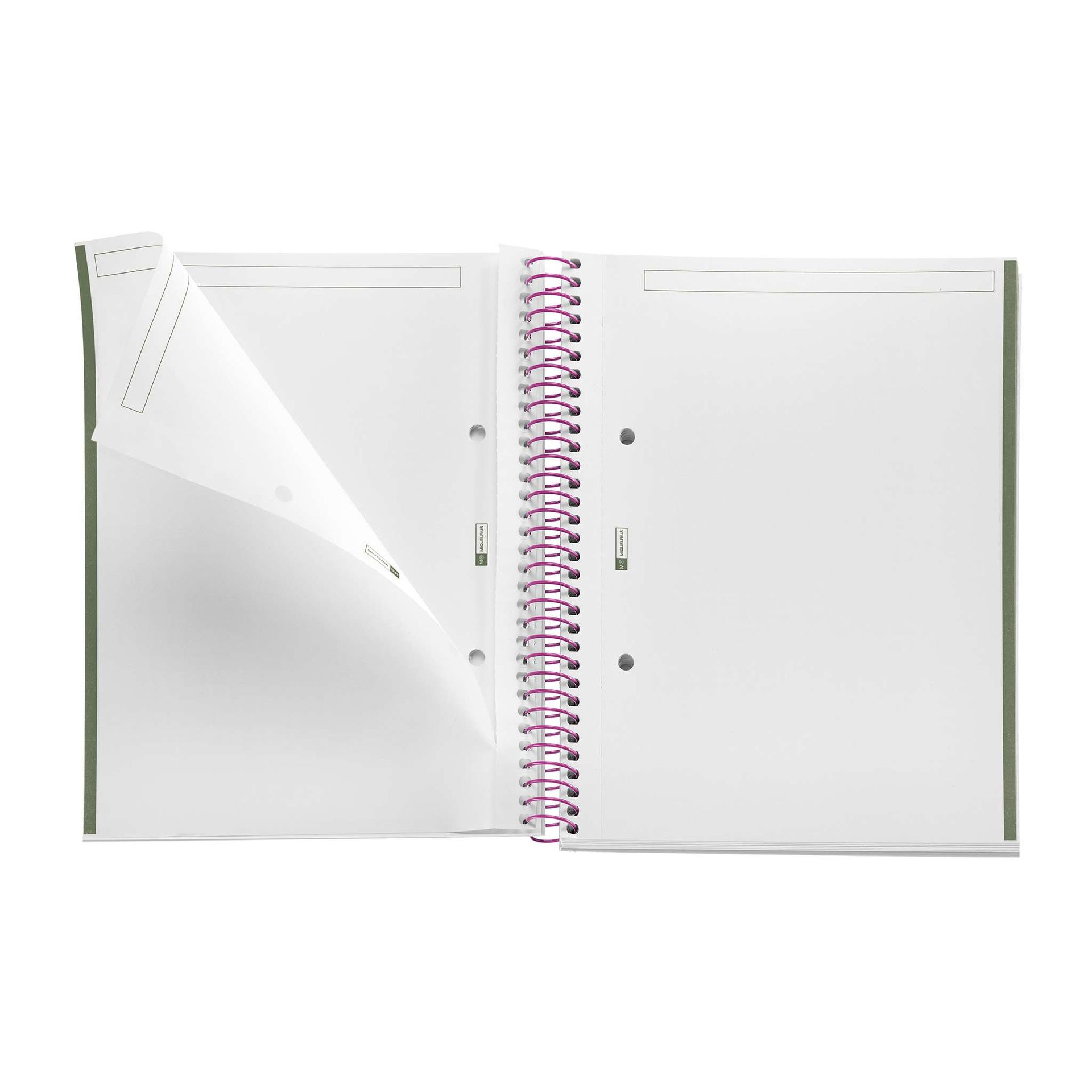 Cuaderno A5 80 Hojas Liso 90 Entredos Chelindonium