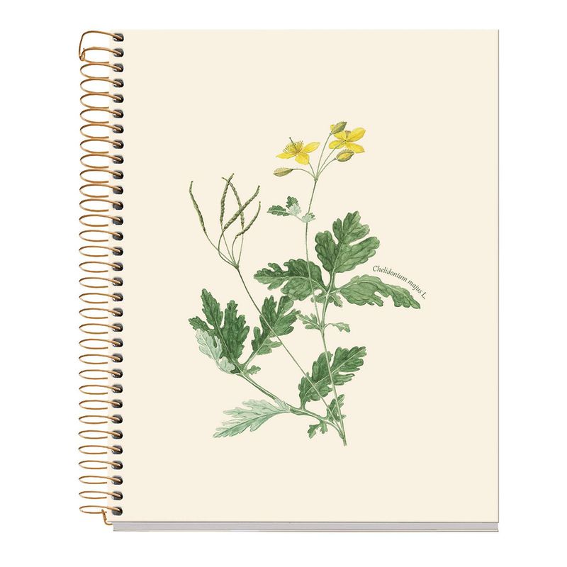 Cuaderno A5 80 Hojas Liso 90 Entredos Chelindonium Cuaderno A5 80 Hojas Liso 90 Entredos Chelindonium