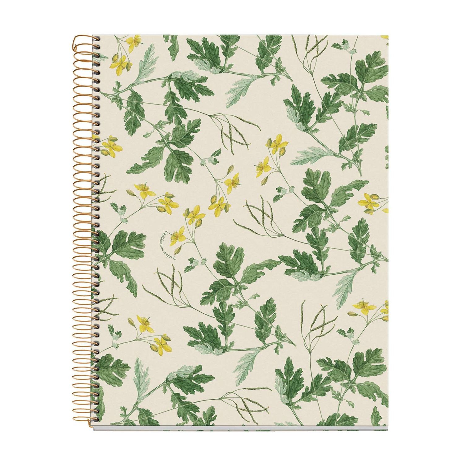 Cuaderno A4 80 Hojas Cuadros 90 Entredos Chelindonium