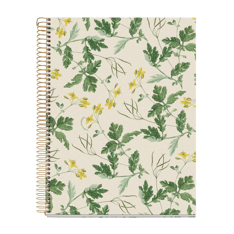 Cuaderno A4 80 Hojas Cuadros 90 Entredos Chelindonium Cuaderno A4 80 Hojas Cuadros 90 Entredos Chelindonium