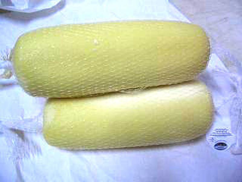 FILONE DI SCAMORZA BIANCO 2 KG CIRCA ANDRIESE