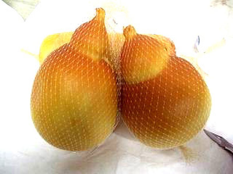SCAMORZONE AFFUMICATO 2 KG CIRCA ANDRIESE