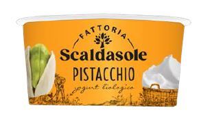 YOGURT MAGRO PISTACCHIO BIOLOGICO 135 GR SCALDASOLE
