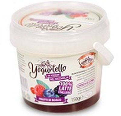 YOGURTELLO AI FRUTTI DI BOSCO 150GR YOGURTELLO AI FRUTTI DI BOSCO 150GR