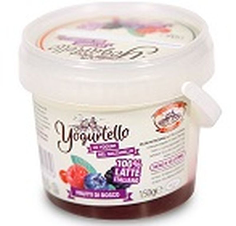 YOGURTELLO AI FRUTTI DI BOSCO 150GR YOGURTELLO AI FRUTTI DI BOSCO 150GR