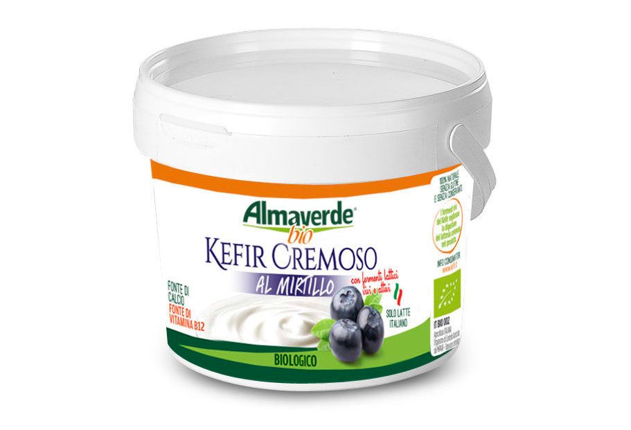KEFIR CREMOSO AL MIRTILLO BIO 150GR KEFIR CREMOSO AL MIRTILLO BIO 150GR