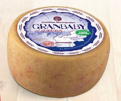 GRANBABY FORMAGGIO DI PURA CAPRA FORMA DA 2,8 KG CIRCA MONTEGRAPPA GRANBABY FORMAGGIO DI PURA CAPRA FORMA DA 2,8 KG CIRCA MONTEGRAPPA