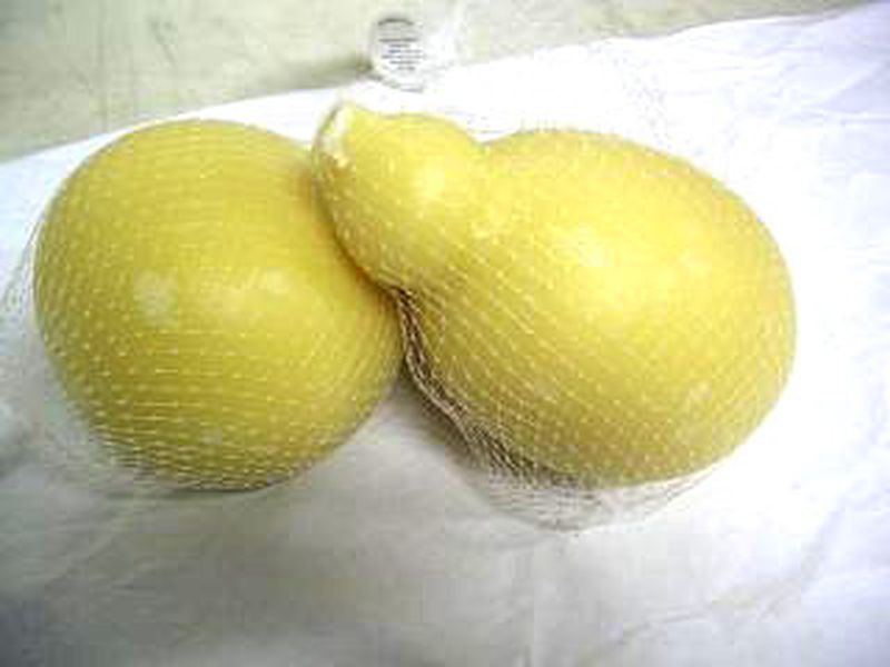 SCAMORZONE BIANCO 2 KG CIRCA ANDRIESE