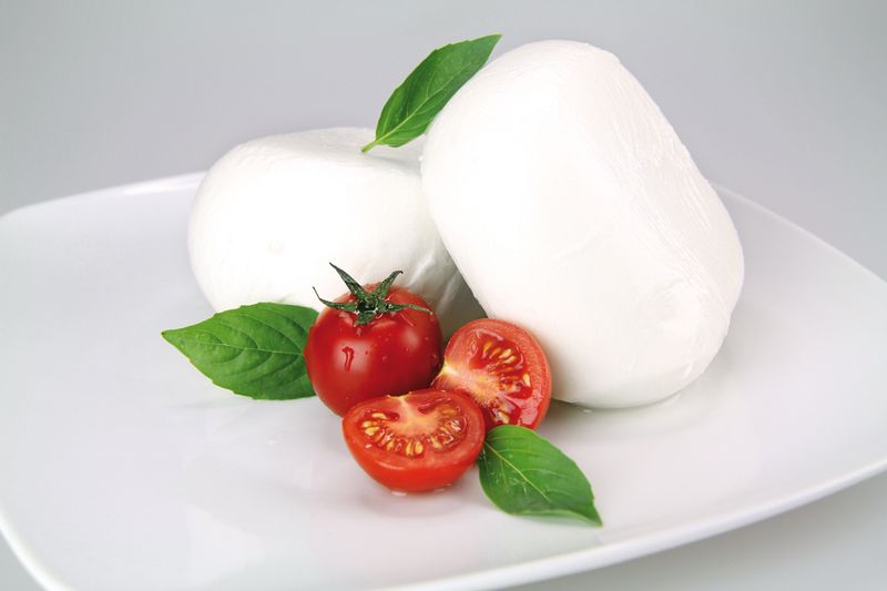 MOZZARELLA FIOR DI LATTE IN ACQUA 100% ITALIANO VASCA DA 3 KG LATTERIA DEL MOLISE