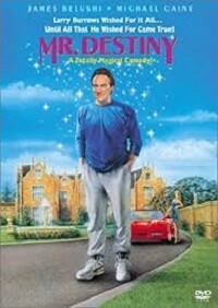 Mr. Destiny (DVD)