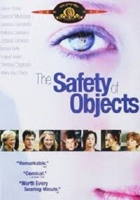 The Safety of Objects (DVD)