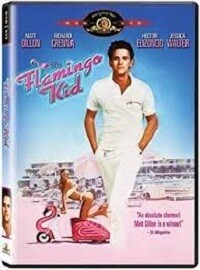 The Flamingo Kid (DVD)