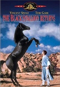 The Black Stallion Returns (DVD)