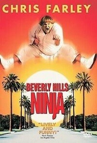 Beverly Hills Ninja (DVD)