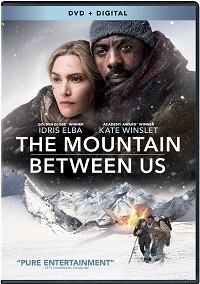 The Mountain Between Us (DVD)