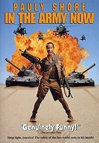 In the Army Now (DVD)