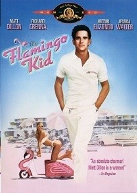 The Flamingo Kid (DVD)