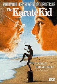 The Karate Kid (DVD)