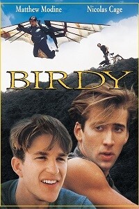 Birdy (DVD)