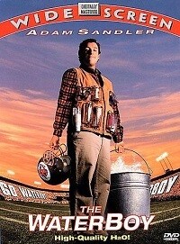 The Waterboy (DVD)