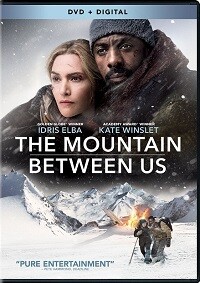 The Mountain Between Us (DVD)