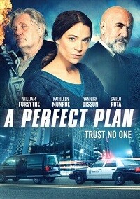 A Perfect Plan (DVD)