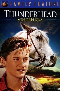 Thunderhead: Son of Flicka (DVD)