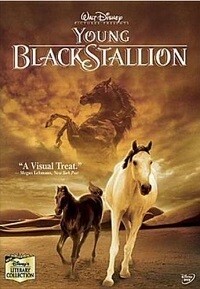 Disney&#39;s Young Black Stallion (DVD)