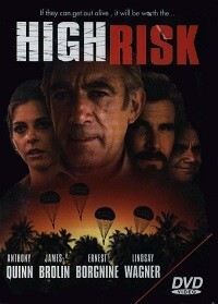 High Risk (DVD)