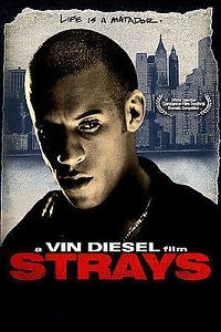 Strays (DVD) Steelbook
