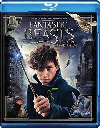 Fantastic Beasts and Where to Find Them (Blu-ray/DVD)