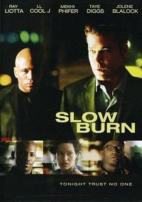Slow Burn (DVD)