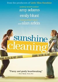 Sunshine Cleaning (DVD)