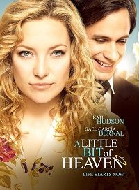 A Little Bit of Heaven (DVD)