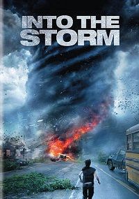 Into the Storm (DVD)