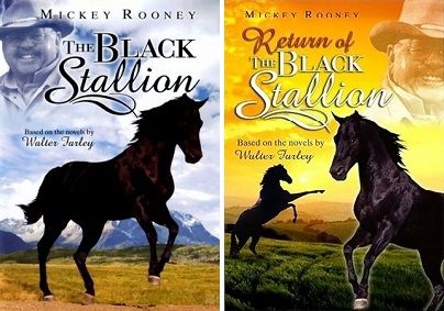 The Black Stallion/Return of the Black Stallion (DVD) Double Feature