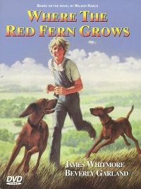Where the Red Fern Grows (DVD)