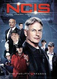 NCIS: Naval Criminal Investigative Service (DVD) The 12th Season