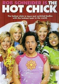 The Hot Chick (DVD)
