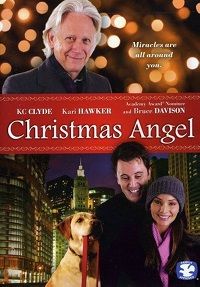 Christmas Angel (DVD) (2009)