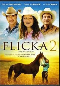 Flicka 2 (DVD)