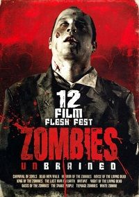 12 Film Flesh Fest Zombies Unbrained (DVD) Complete Title Listing In Description