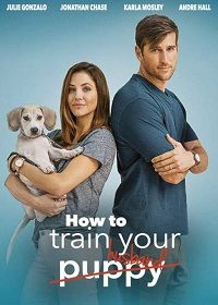 How to Train Your Husband (DVD)